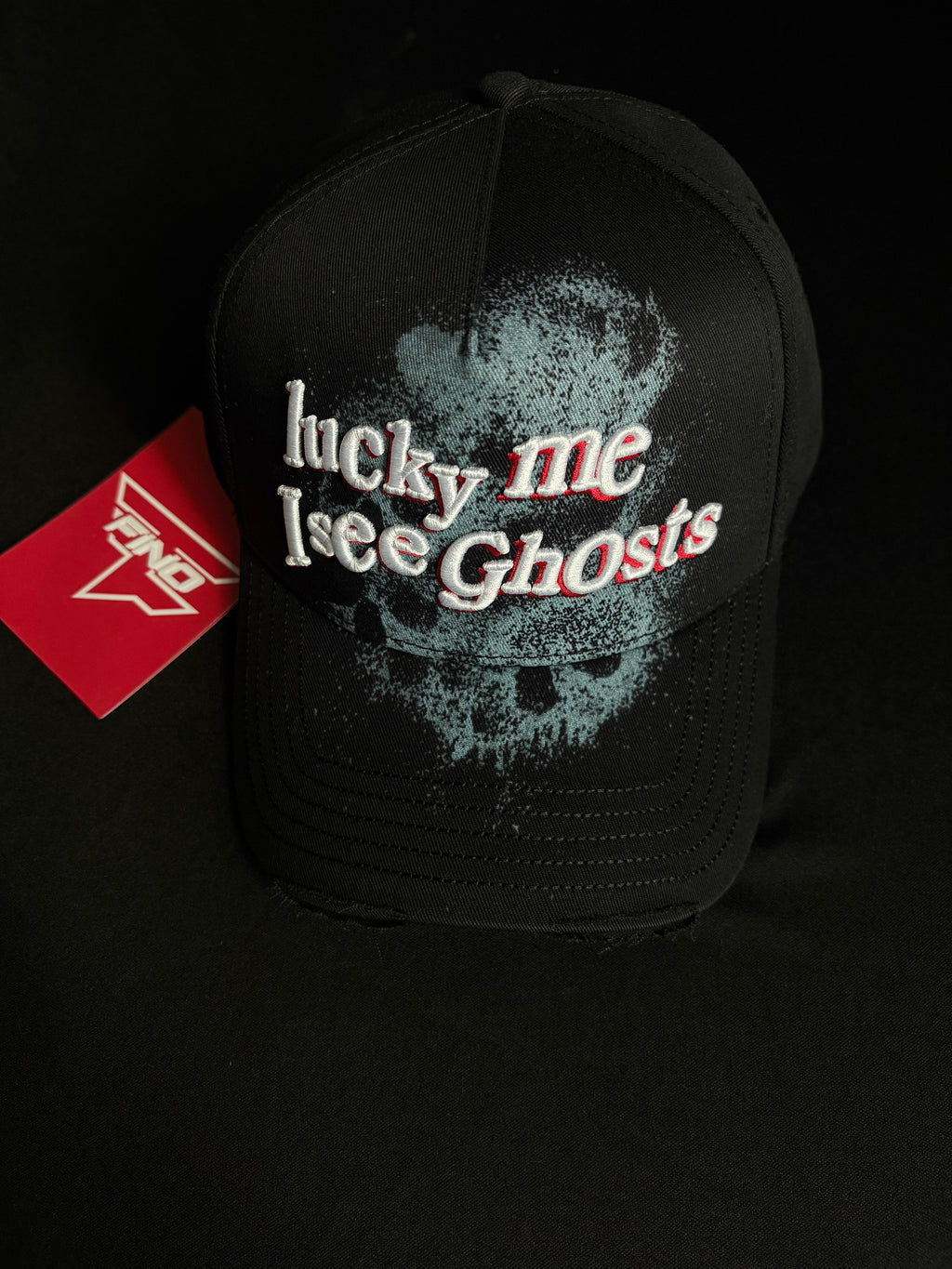 "Lucky Me I See Ghosts".